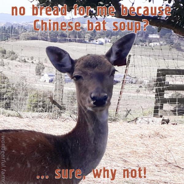 deer funny face bread shortage