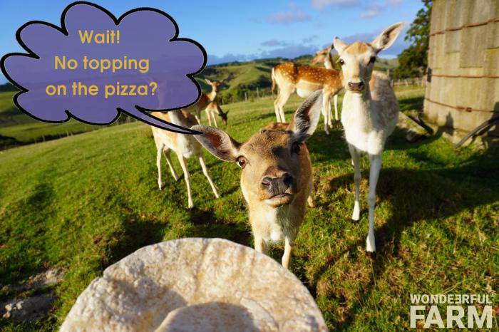 wtf no pizza topping