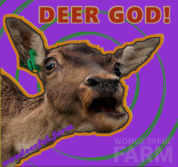 deer god nft series